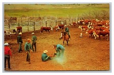Branding time cowboys for sale  Bicknell
