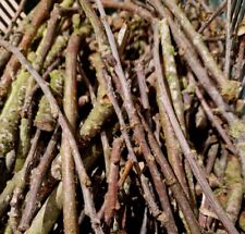200g natural dried for sale  ROYSTON