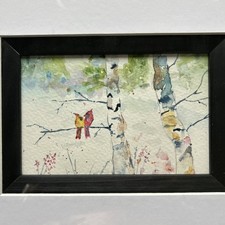 Cardinals birch tree for sale  Austin