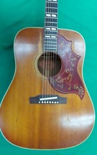 Gibson folk guitar d'occasion  Expédié en Belgium