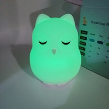 Mindfulness breathing owl for sale  Oswego