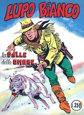 Coyote lupo bianco usato  Castelfidardo