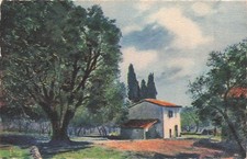 Grasse oliviers cypres d'occasion  France