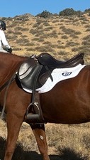 Stubben roxanne saddle for sale  Reno