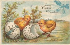 C1910 chicks hatched for sale  Mansfield