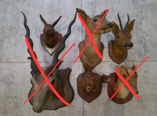 Bargain bundle antique for sale  KINGSWINFORD
