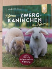 Zwergkaninchen kaninchen hase gebraucht kaufen  Mertingen