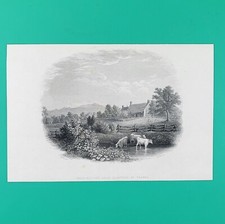 1856 antique print for sale  Stratford