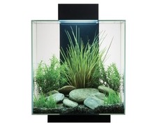 Fluval edge aquarium gebraucht kaufen  Nettetal