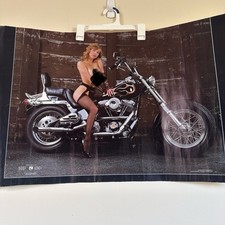 Vintage poster topless for sale  Swedesboro