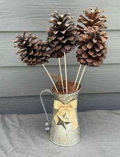 Medium large pinecone for sale  Middleburg