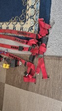 Schroth punkt gurte gebraucht kaufen  Bad Bergzabern-Umland
