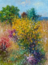 Antonio pasciuti 40x30 usato  Teramo