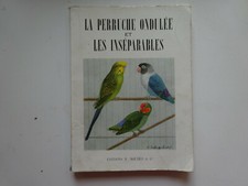 Perruche ondulée inséparable d'occasion  Brioude