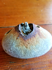 Natural rock concretion. for sale  Atlanta
