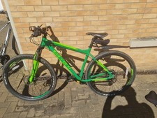 carrera sulcata for sale carrera sulcata for sale KETTERING
