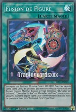 Fusion figure sr d'occasion Fusion figure sr d'occasion  Argenteuil