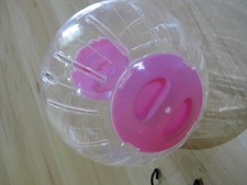 Laufkugel transparent öffnung gebraucht kaufen  Geesthacht