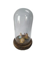 Presepe campana 6x12 usato  Monte di Procida