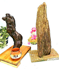 Holz raritäten skulptur gebraucht kaufen  Mömbris