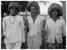 India kathiawar cattle d'occasion  Expédié en Belgium