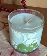 partylite honigmelone gebraucht kaufen  Vetschau
