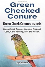 Green cheeked conure. for sale  Reno