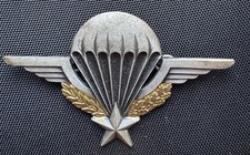 Brevet para parachutiste d'occasion  Cherbourg-Octeville-