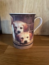 Labrador pups fine for sale  MIDDLESBROUGH