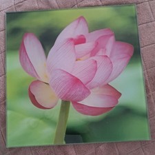 Glasbild gebraucht kaufen  Offenbach am Main