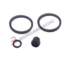 Kit revisione pinza usato  Giulianova