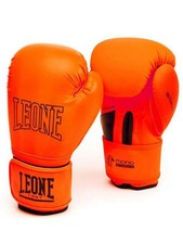 Leone 1947 shock usato  Potenza