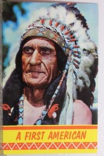 Indian first native for sale  Wilmington