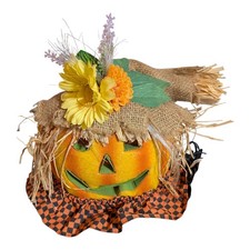 Halloween pumpkin fiber for sale  Otsego