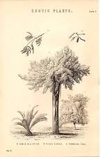 1868 imprimé exotique d'occasion  Expédié en France