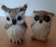 Eulen miniatur fell gebraucht kaufen  Köln