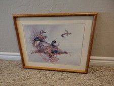 Charles murphy ducks for sale  Henderson