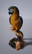 Lovely detailed macaw for sale  STOCKPORT