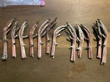 Taxidermy one pair for sale  Signal Mountain