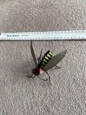 Mediterranean bug. for sale Mediterranean bug. for sale  CHICHESTER