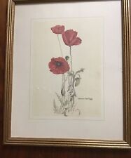 Common red poppy for sale  BATH