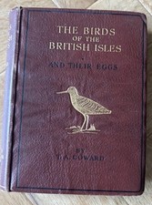 Birds british isles for sale Birds british isles for sale  GUILDFORD