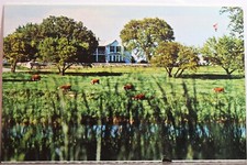 Texas stonewall lyndon for sale  Wilmington