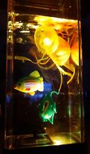 Aquarium. electric jellyfish for sale  Atwood