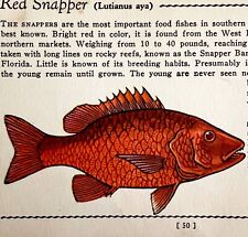 Red snapper 1939 for sale  Cambridge