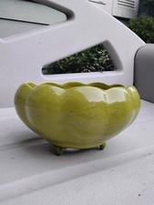 green plant pot for sale green plant pot for sale Grants Pass