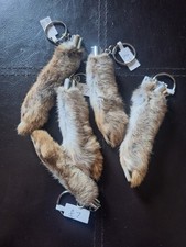 Taxidermy rabbit foot for sale  HULL