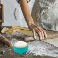 Cuve fermentation conteneur d'occasion  Expédié en France