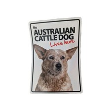 Magnet steel australian for sale  Tulsa