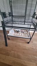 Vogelkäfig gebraucht der gebraucht kaufen  Frankfurt am Main